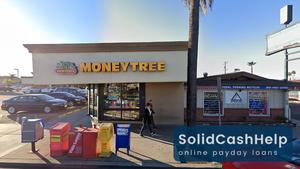 Moneytree 92115